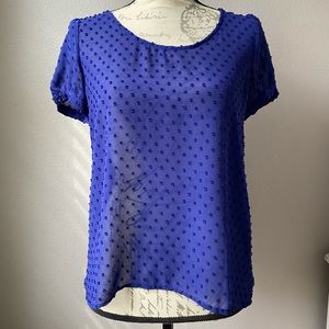 Women’s blue sheer blouse, SZ S.